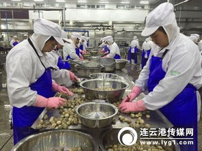 對(duì)接“一帶一路”戰(zhàn)略，打造新時(shí)代進(jìn)出口食品安全大通道